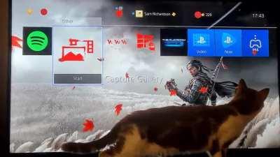 This is why I can't ever have Dynamic Wallpapers.