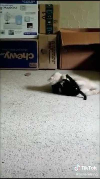 MRW i never saw it coming