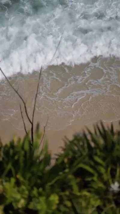 Bruna Griphao (2025)