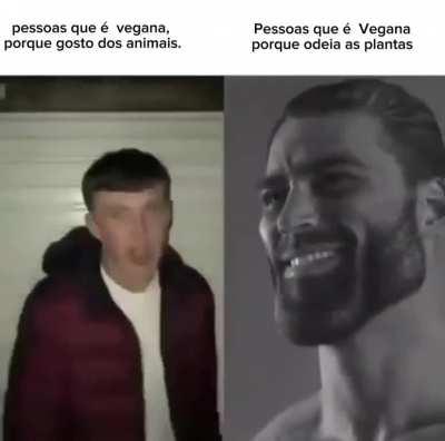 Vire vegano