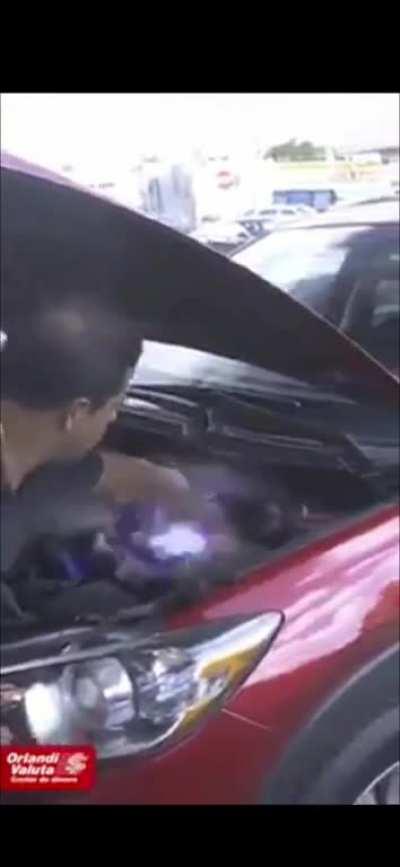 Agora livres, os androides estão substituindo humanos em suas profissões