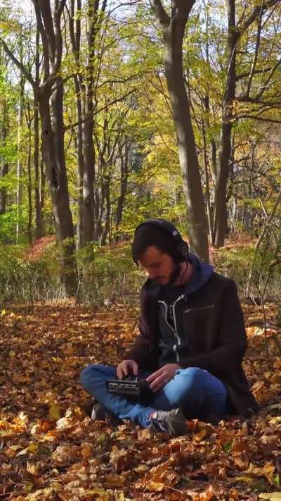 SP404 - Fall in New England