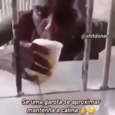 Passos de como muquinha conquistou a loirinha