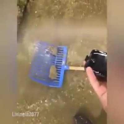 Вот это техника, после такого ещё и работает