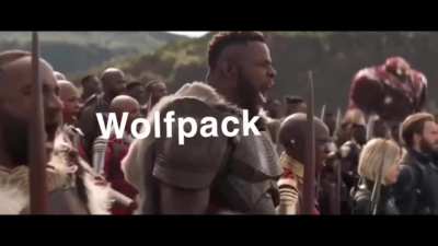 SCHNEEBALLSYSTEM = not illegal?