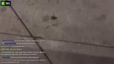 Streamer girl steps on bug after a bad date in anger