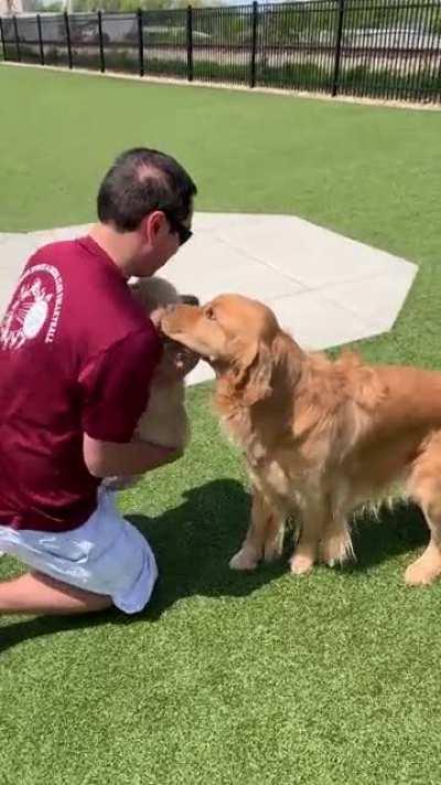 Ah, the mixed emotions of being a big brother 😁