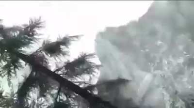 This bug keeps ruining my experience with the remaster