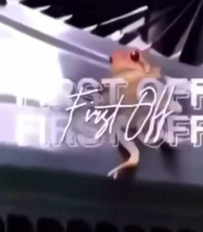 ☝🏼, ☝🏼,☝🏼, ⌚️… 💨