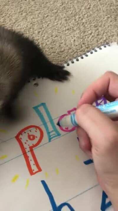 World’s best teaching assistants