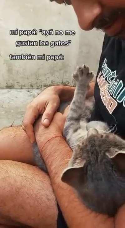 r/Argentina es del team gato o team perro?