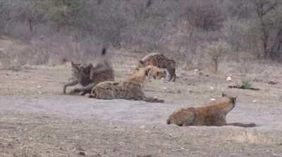 This didn't go as planned