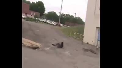 Gonna go for a ride?