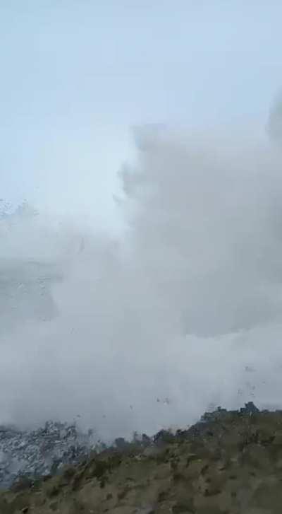 Legitimate contenders?