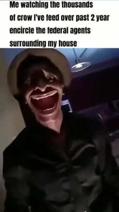 The Crow Whisperer and his Flying Army