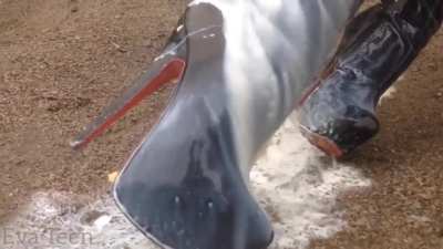 Evateen Black Boots and Milk