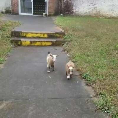 When the squad is finally ready To head out