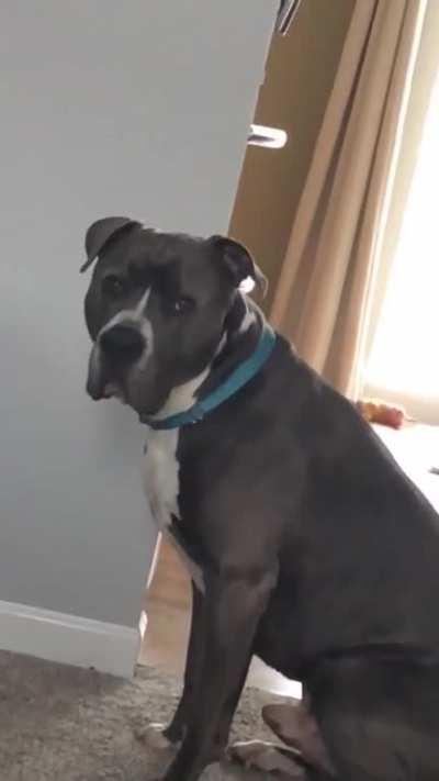 He hit his head on the wall and I died [oc]