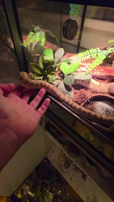 Just, so, very.......special