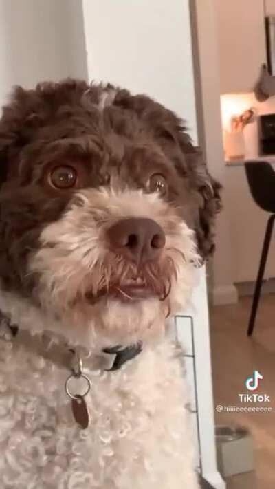 That awkward moment...