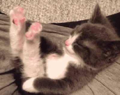 Stwetchy timey wimey 😍😍😍