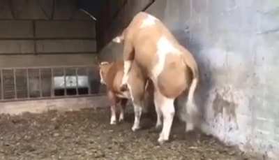 When the nature calls but you fail to deliver.