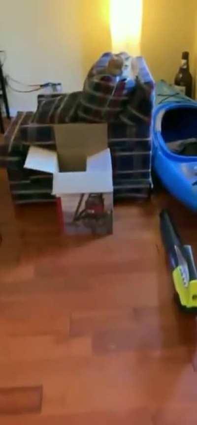 Are you happy to be in paris? -Oui.