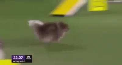 When u/Criand gets tagged.