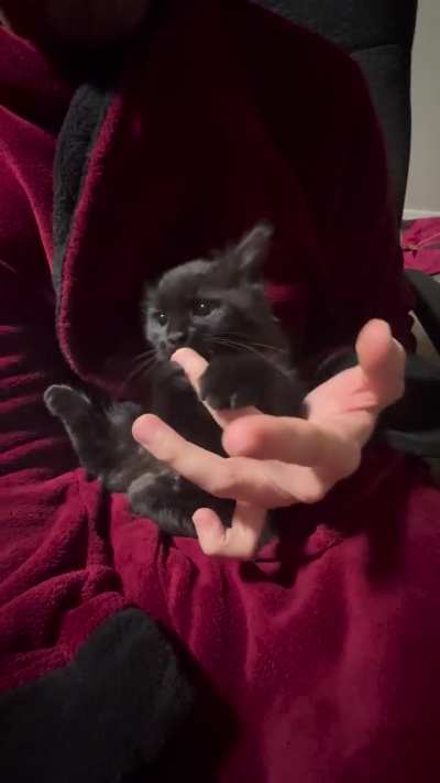 Hooman why your nipples no work