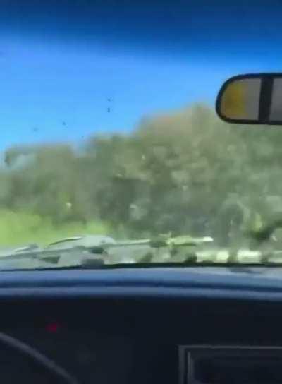 I’m thinking this is a jeep based off the steering wheel. I just need confirmation.