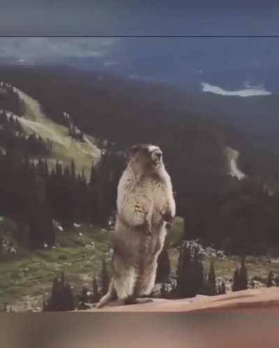 Bitch who is you yelling at?