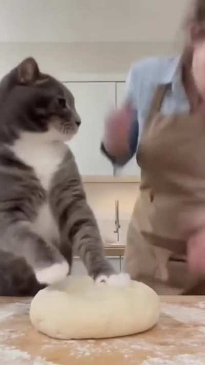 let’s make bread!!