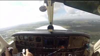 Bird strike = shattered windscreen