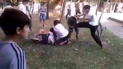 This is the best fight I've ever seen lmao