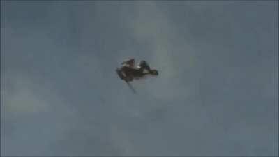 Don't fuck with this senator