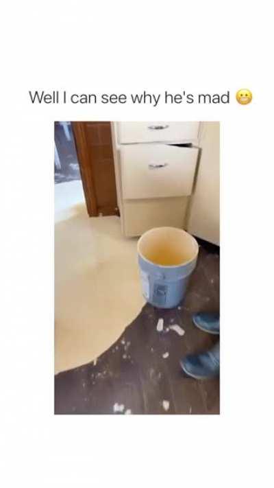 Idiots spill paint everywhere