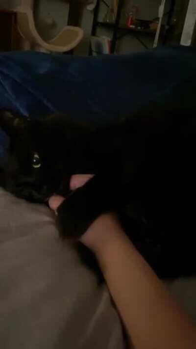 she’s toothless until i try to take my hand back