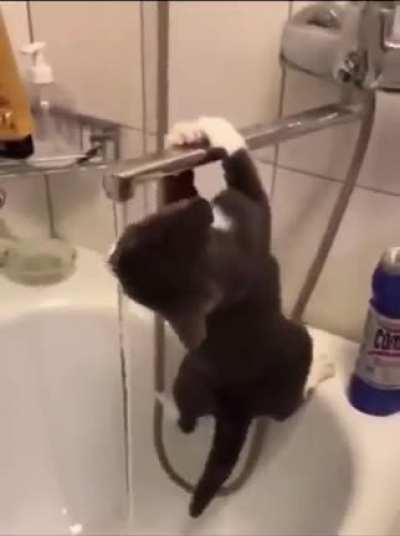 Slightly miscatculated