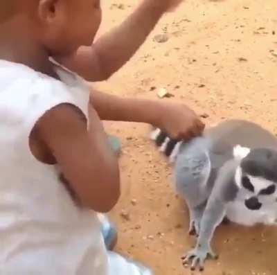 KING JULIEN: sERve mE hUmAnS oR eLsE yOu wILL fAcE mY wRrAaTHhh!!!