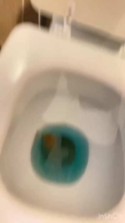 Looking for someone to uncover it! To the toilet! 🤭🤭