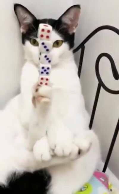 This is called cat Balancing