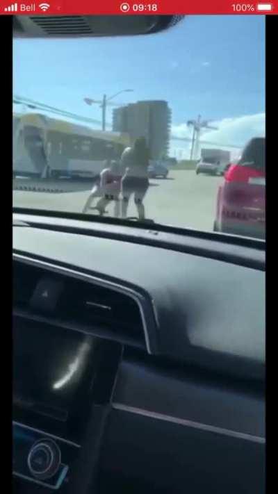 Woman uses dog as weapon in road rage incident