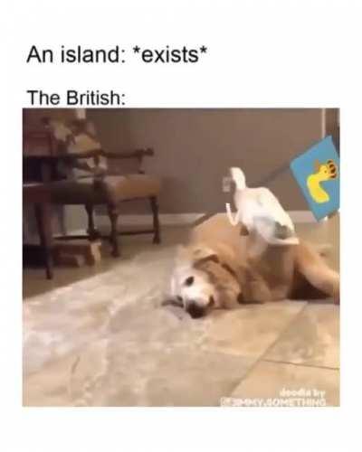 British bribs on doggo island