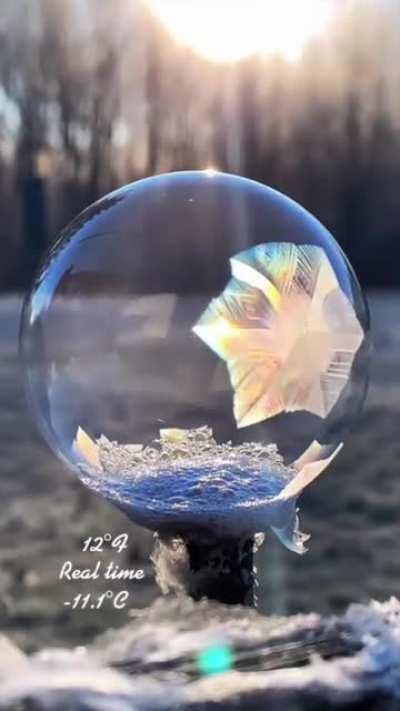 snowball freezing in 12 degree weather