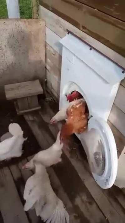 Приспособил