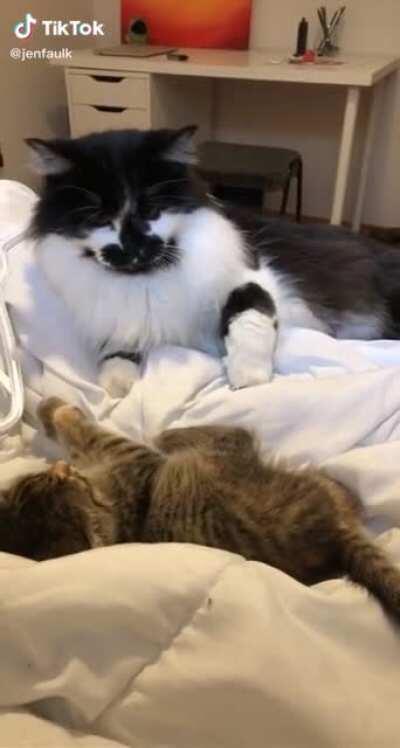 He said: Know your place, peasant.