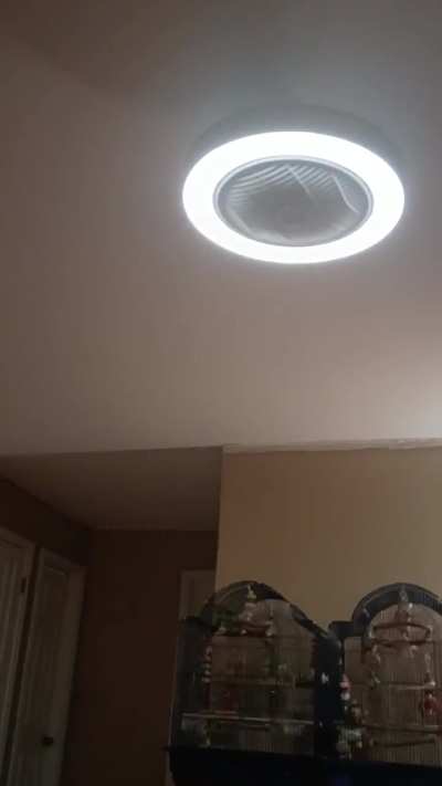 This is why there's not many close up videos of Stanley playing. LoL