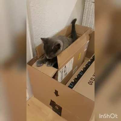 How Do I Get Out Of Here?