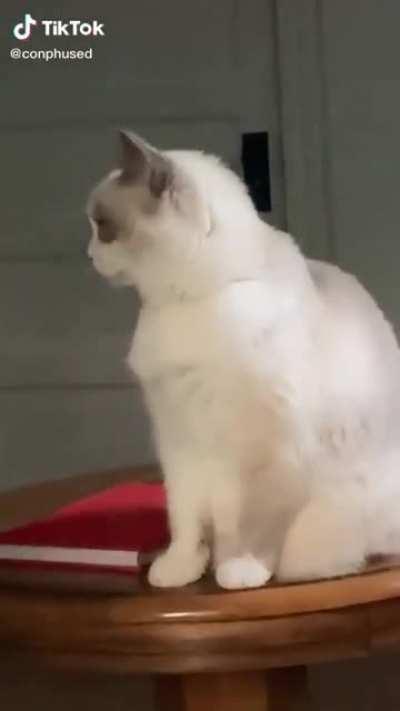 uNsUsPEcTiNg vIcTIM is pAraLyZeD bY ACOUsTiC wArfArE