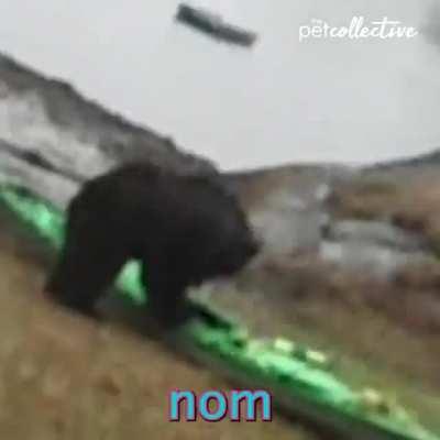 I think this can be considered a duet